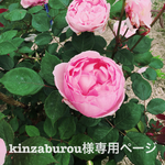 kinzaburou様専用ページ