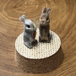 ちっちゃなうさぎさん　うたっち