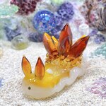 Uo813［クォーツ］宇宙を宿すガラスのウミウシ