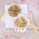 お花見セット２０２６