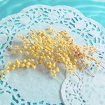 ミモザ ドライフラワー  16本前後 ハーバリウム ボタニカル キャンドル レジン封入 素材 