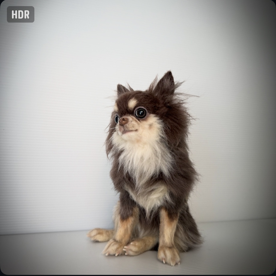 羊毛フェルト　チワワ　エリック様 仰向けチワワちゃん制作中〜🐶💕前足はまだ仮止めです🐾・ ・ #羊毛