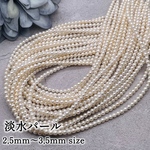 3/7 new 24H限定°˖✧新商品🈹【1450円→1300円】【1連 約100個】【pprr3864brsr】 淡水パールビーズ Round【約2.5mm~3.5mm】