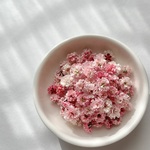 【 レッド 】　かすみ草　スタンダードカラー　大容量　淡色 中間色　ドライフラワー　染め　国産　高品質　大 中 小サイズ　レジン　ネイル　ハンドメイド　素材　資材　花材