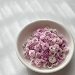 【 ピンク 】　かすみ草　スタンダードカラー　大容量　淡色 中間色　ドライフラワー　染め　国産　高品質　大 中 小サイズ　レジン　ネイル　ハンドメイド　素材　資材　花材