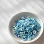 【 グランブルー 】　かすみ草　スタンダードカラー　大容量　淡色 中間色　ドライフラワー　染め　国産　高品質　大 中 小サイズ　レジン　ネイル　ハンドメイド　素材　資材　花材