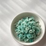 【国産・大容量】かすみ草　ミント　カスミソウ　ドライフラワー 　染め　花材