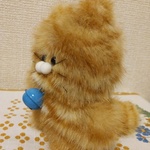 しっぽねこ