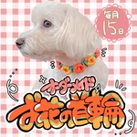 【小型～中型犬用】お花付き首輪｜オーダーメイド対応！