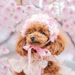 桜の花冠 横長タイプ  淡いピンク ♡ 桜 ヘッドドレス 花冠 犬 猫 ペット カチューシャ ピンク リボン 花 冠 誕生日 うちの子記念日 記念日 かぶりもの 被り物 帽子 バースデー ひな祭り
