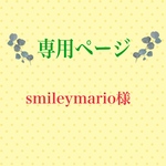 こちらは専用ページになります