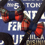 犬用首輪&リードセット