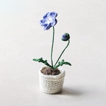 ネモフィラのあみぐるみ　枯れないかぎ編みのお花𓂃flower pot type🪴☁️𓂃｟受注製作｠