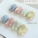 ・受注生産・ 【2026 春の限定色】 選べる ワンカラー マグネット ネイルチップ  ちゅるん オーロラ キラキラ お呼ばれ ブライダル 入学式 卒業式 お出かけ お花見 イベント 付け爪 春ネイル