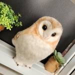 ⭐送料込み⭐羊毛フェルト製　メンフクロウ　置物