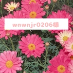 オーダーページ 10〜11cm用 ぬいぐるみ ぱぺ 服 着ぐるみ