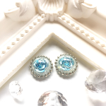 冬の水中花❄ピアス.イヤリング