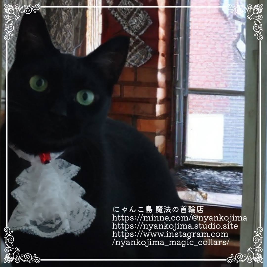 貴族になれちゃう首輪】 ホワイト 赤い宝石 ルビー ビジュー ゴスロリ