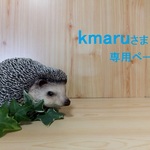 kmaruさま専用ページ　トートショルダー’Ｍｓｉｚｅ’倉敷帆布グリーングレー