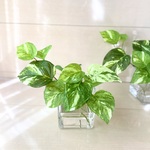 倒しても溢れないお水　癒しの「ポトス」フェイクグリーン、光触媒　