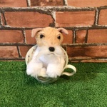 y様愛犬ちゃんオーダーメイド品(ワイヤーフォックステリア) 縫いぐるみ　13センチ