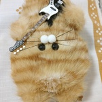 ねこ