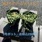 斑入りグリーンネックレス