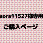 SORA11527様専用御購入ページ