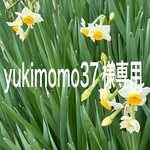 yukimomo37様専用ページ