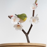 メジロと梅の花　【部屋の中で野鳥観察シリーズ】