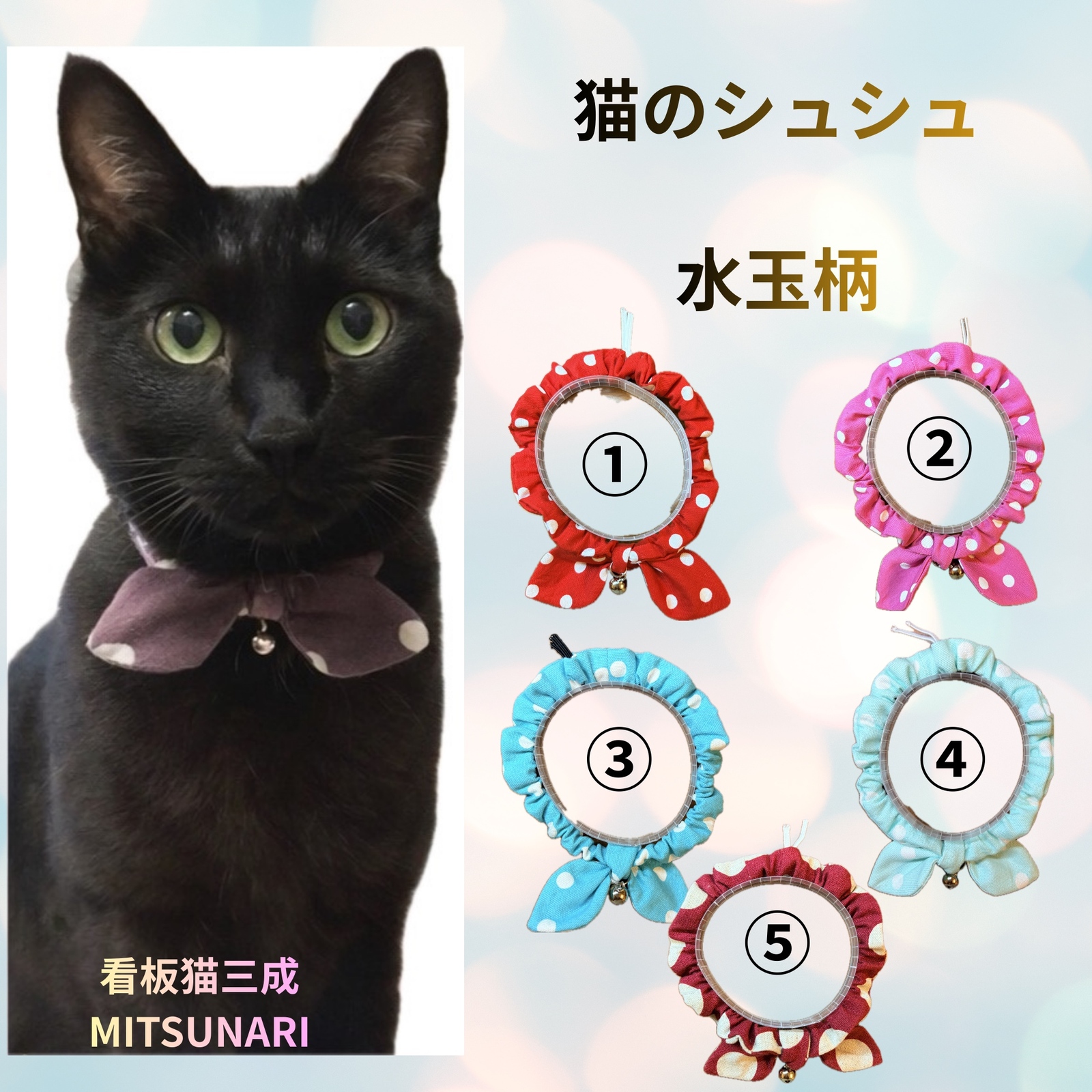 スクエアタイプ 色鉛筆画 犬猫の癒し絵 - RUBAN DE BETTY'S GALLERY