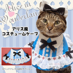 アリスケープ