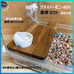 ハムスター グラスハーモニー600専用すもあにロフトハウス 階段付属