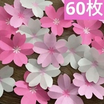toku100様専用ページです☺︎