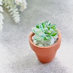 ❇︎多肉植物の小さな置物【オクモノ】ハオルチア・オブツーサ