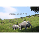 miiiaoooさま専用