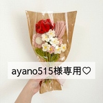 ayano様専用ページ