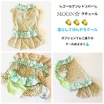 大型犬　濡らしてひんやりクール🍋　Moon