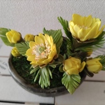 福寿草アレンジメント