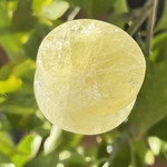 満月のようなシトリンの豆皿✨🌕✨