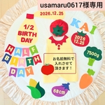 【usamaru0617様専用】ハーフバースデー　ロンパース衣装