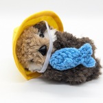 【抽選販売】ベビーな幼稚園ラッコちゃん(イカ組、魚のおもちゃ付き)
