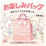【特別企画第一弾】 10cmぬいぐるみ用 15cmぬいぐるみ用 20cmぬいぐるみ用 超得 お任せ袋 お楽しみバッグ ハッピーバッグ LUCKY BAG Happybag 8種類入り