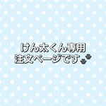 セミオーダー✨マナーベルト🐶