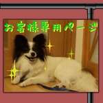 luli様♡専用ページ