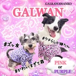 犬服　ハートレオパード犬服｜ギャル　盛れピンク　盛れパープル｜夏用・接触冷感・UVカット