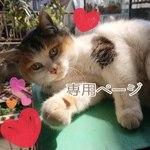 ♡ココア様・専用ページ♡