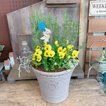 現品SALE♡アイアンピックつき【ローズマリー入りガーデニング】クローバー入り寄せ植え