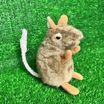 寝起きの健康なデグーたち《サンド》