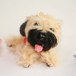 ペットをストラップに！（ここちゃん、かかちゃん）